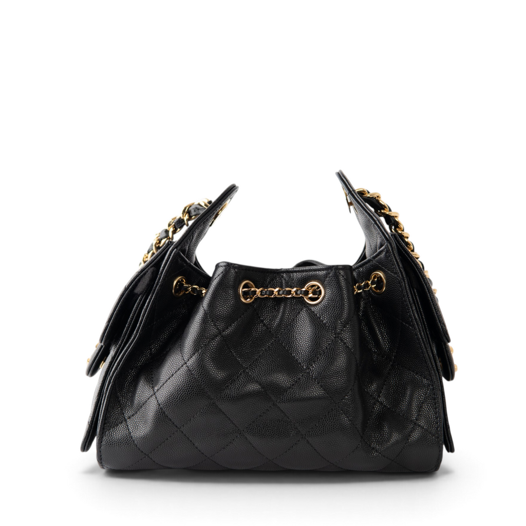 Chanel Hobo 25 Mini - Caviar