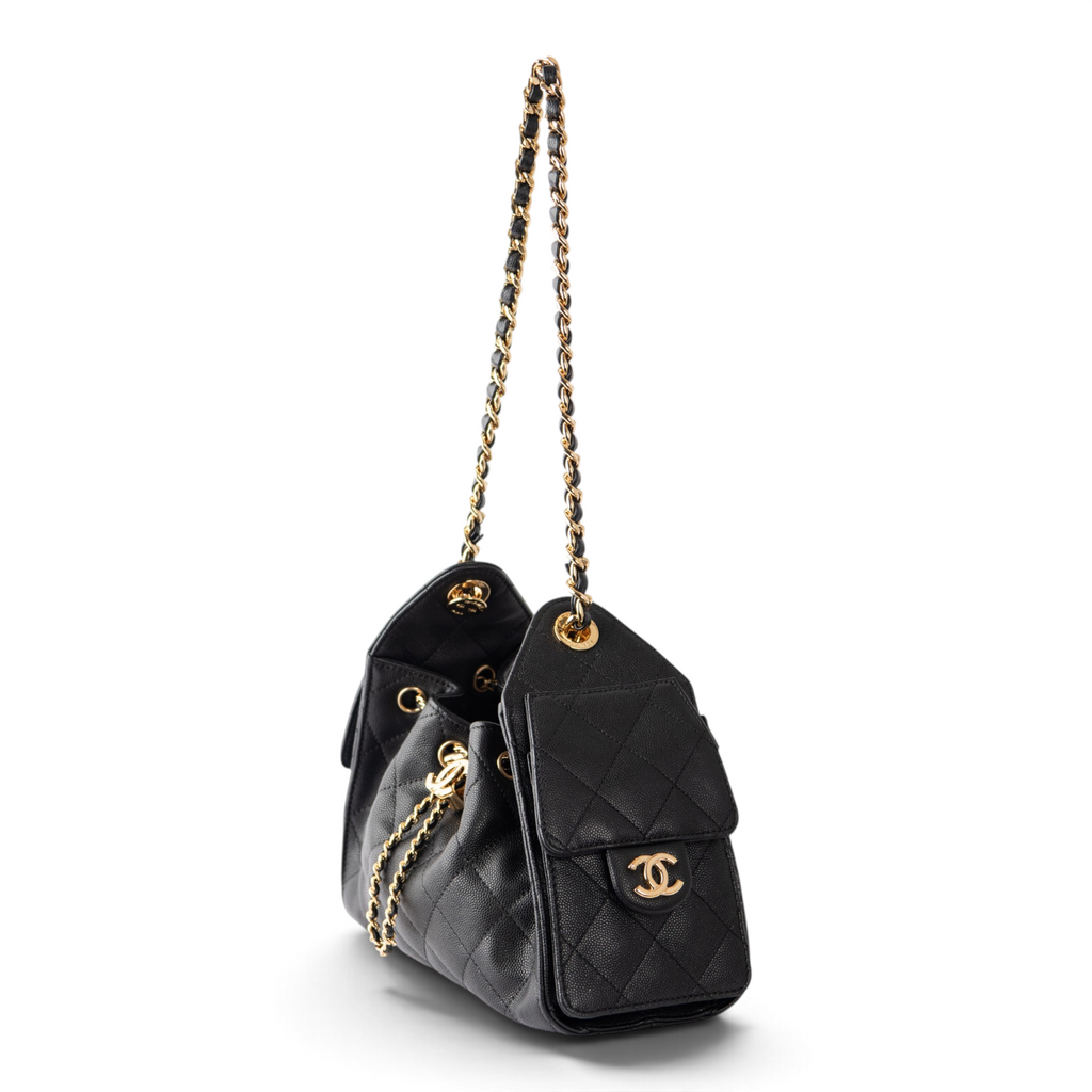 Chanel Hobo 25 Mini - Caviar